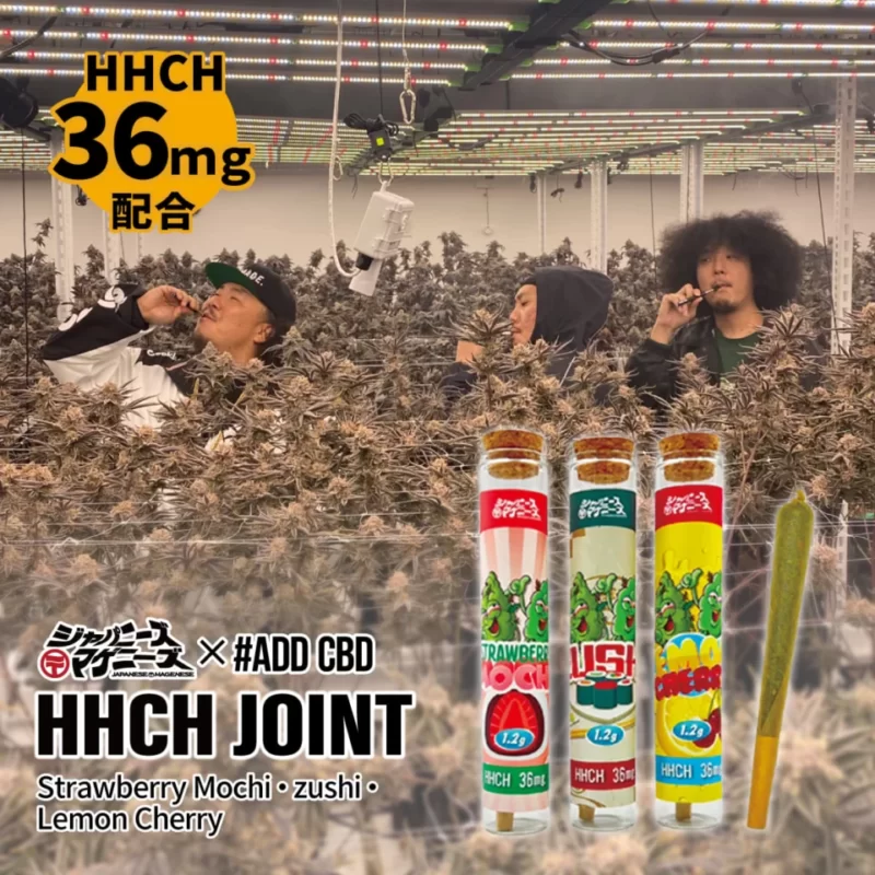HHCHは規制済み｜現在は購入不可の製品画像